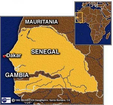 La Tidjaniyya au Sénégal